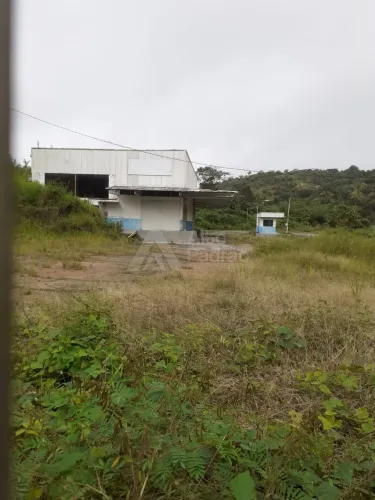ALUGO GALPÃO COM UMA ÁREA DE 10 MIL M2 NA PE 71, CHÃ GRANDE-PE