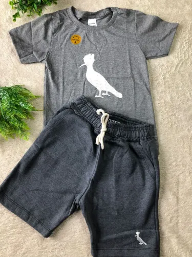 conjunto infantil masculino 