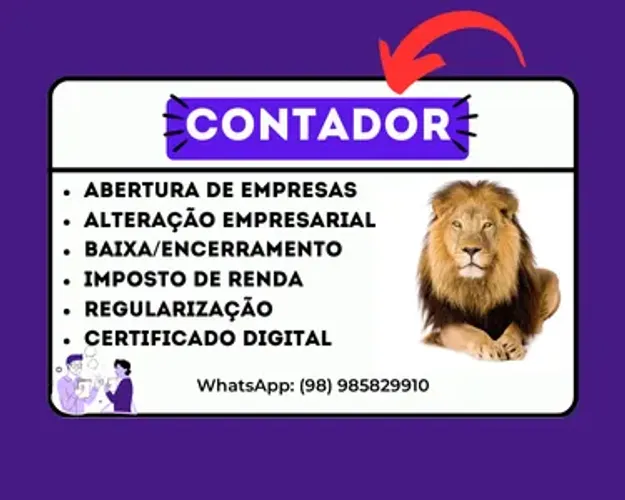 CONTADOR / SERVIÇOS CONTÁBEIS / IMPOSTO DE RENDA