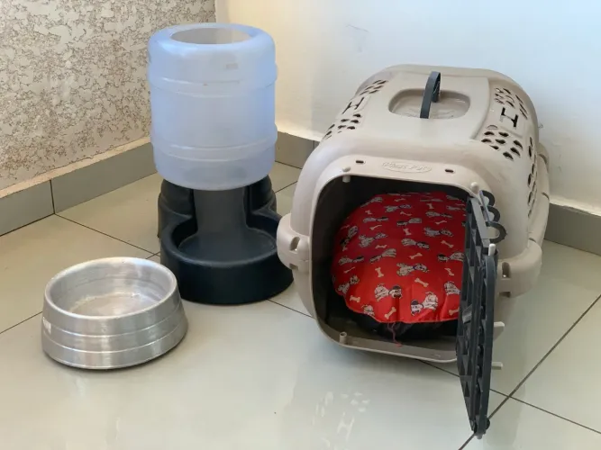 Casinha pra pet