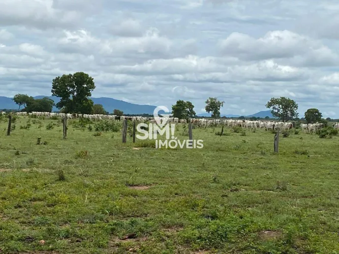 Fazenda em Araguaçu TO