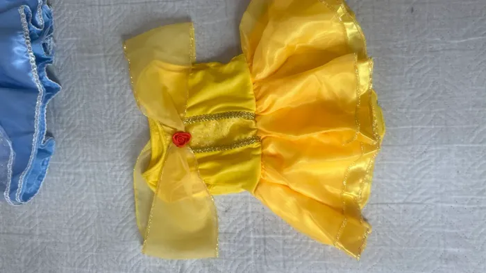 Vestido bela e a fera 