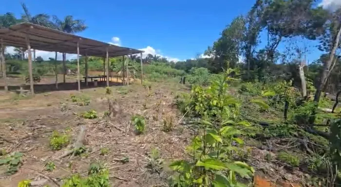 Vendo ou troco por carro 3 terrenos no km 4/Iranduba