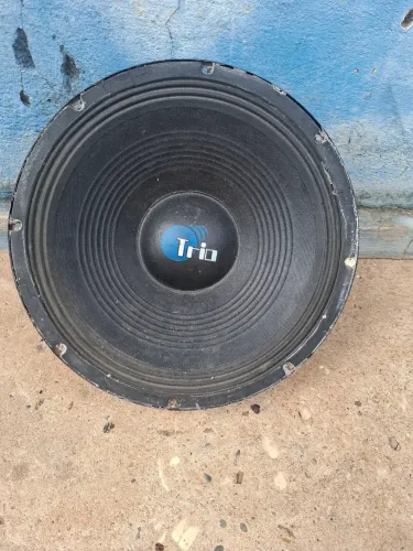 Alto falante de 12