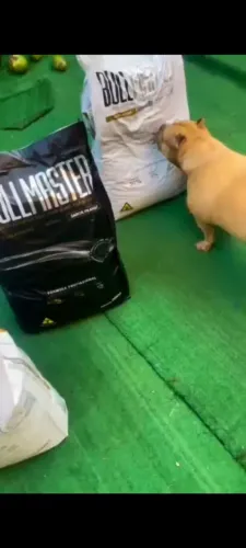 RAÇÃO BULL MASTER SUPER PREMIUM 20KG ADULTO E FILHOTE