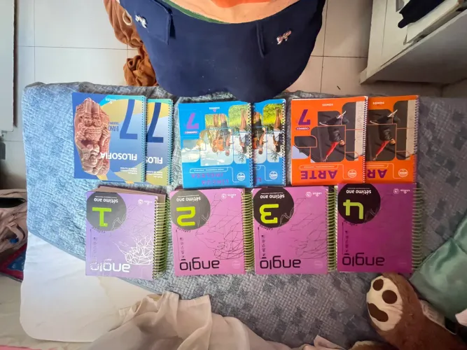 Kit livros anglo 7 ano usados