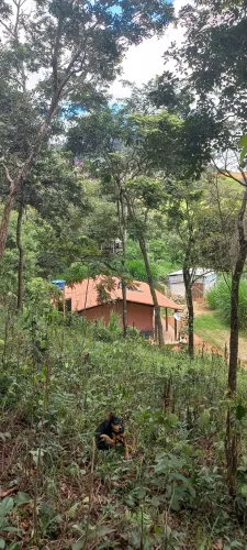 Vendo fazendinha de 3 hectares 