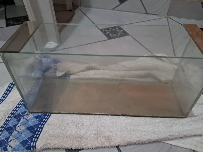 Aquário pequeno 