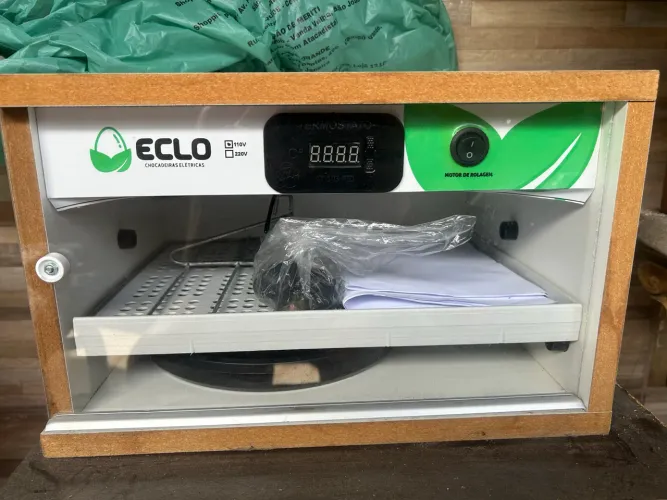Chocadeira de ovos elétrica