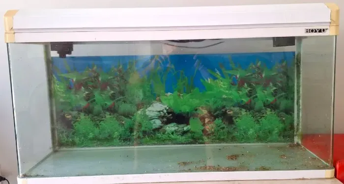 Aquário Boyu 120 litros
