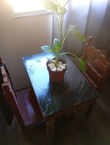 Mesa + duas cadeiras madeira
