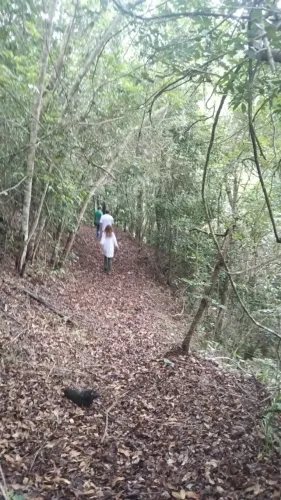 TERRENO PROXIMO AO QUATEL DO EXÉRCITO PE 27 - PAUDALHO 