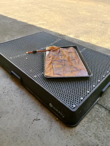 Weasy Cão | Banheiro inteligente para cachorro