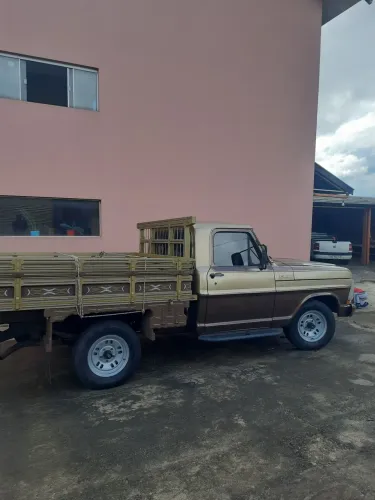 Ford F-1000 Super Serie CE 4.9/3.6 1981