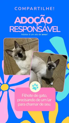 ADOÇÃO RESPONSÁVEL 