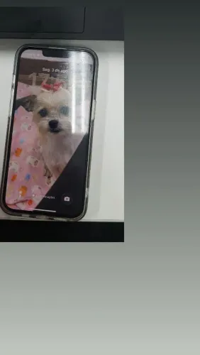 Iphone 16e 128gb