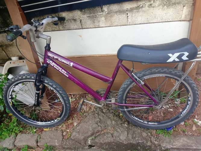 Bicicleta