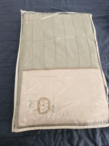 Trocador bebê do Leão