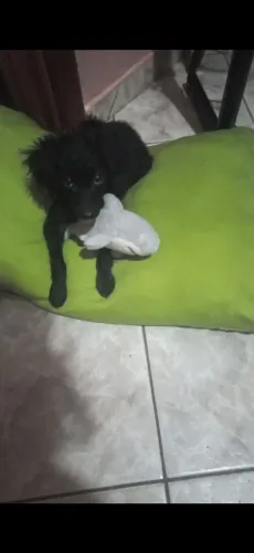 Doação urgente 