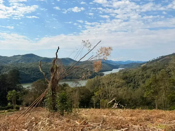 Vendo meu terreno
