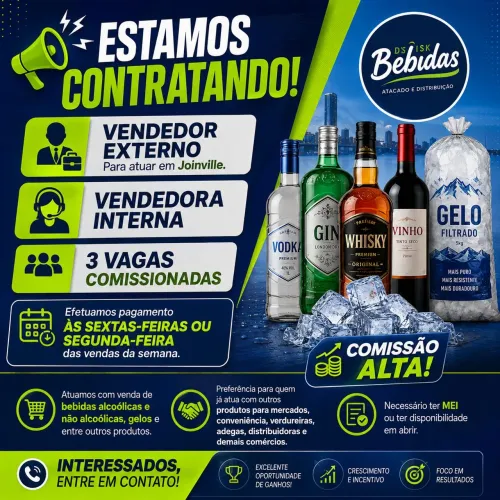 Vendedor externo e vendedora interna