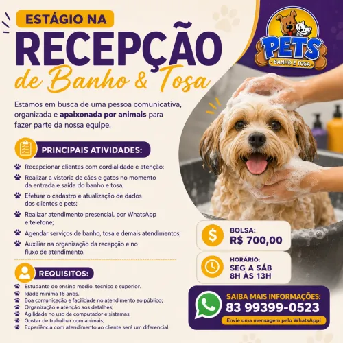 Estágio Recepção Banho e Tosa