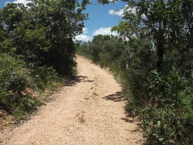 Terreno rural 15ha com luz, mata nativa, Serra do Cipo (Temos varias opçoes).