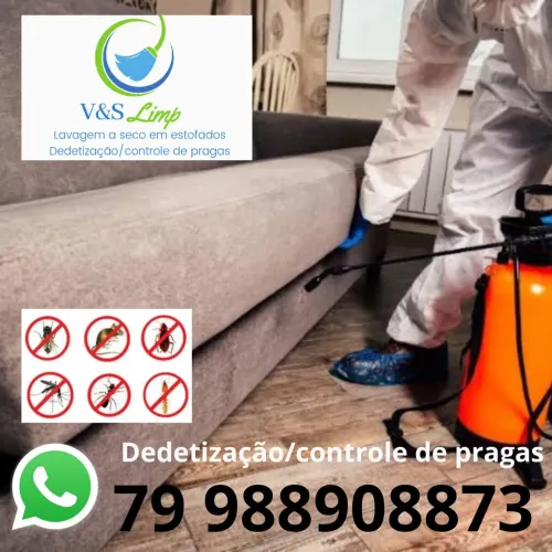 Dedetização/ controle de pragas 