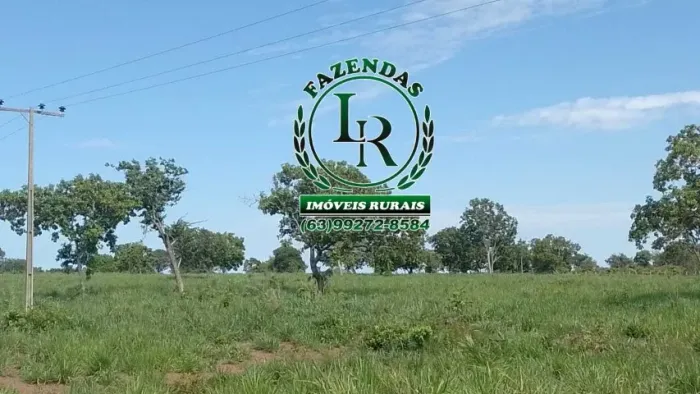 Fazenda 89 Alqueires Próximo a Palmas