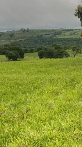 Fazenda pecuária modelo 170.000 ou alqueire