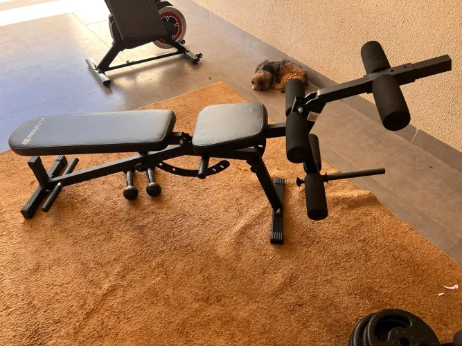 Cadeira extensoura e flexiva ( mega gyn) super conservada