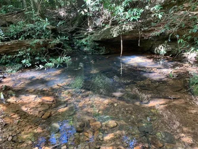 Sitio 1.000m², nascente de agua nos fundos, pomar já produzindo, Serra do Cipó.