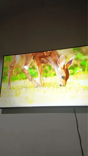 SAMSUNG 55? 4K UHD 2025 - XBOX INTEGRADO