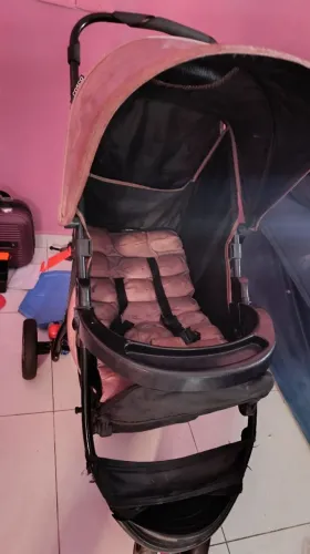 Carrinho e bebê cosco