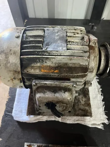 Motor Elétrico WEG 2CV Trifásico c/ Polia