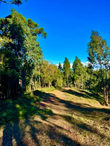 CHÁCARA 6.000 m² EM CAMPO LARGO - APENAS R$ 70 MIL DE ENTRADA