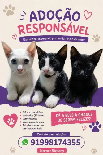 Doa-se gatinhos