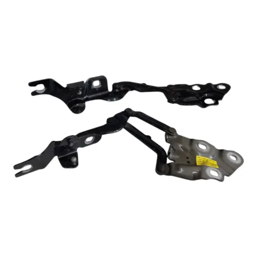 Par Dobradiça Do Capo Bmw X3 2013/2017