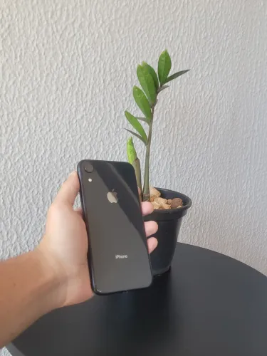 iPhone XR Barato