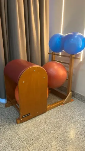 Ladder Barrel Physio