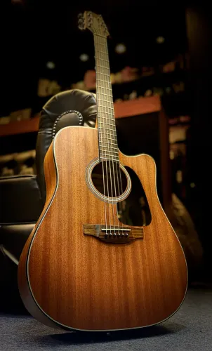 Takamine GD 11