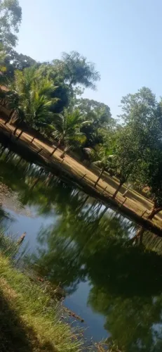 Fazenda 55 alqueires Jussara