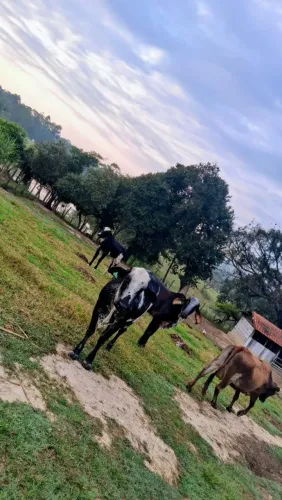 Sitio em Monte Mor