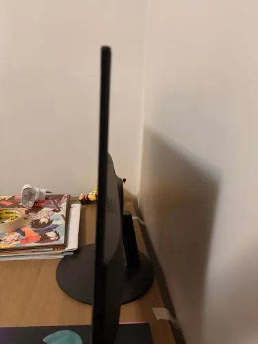 Monitor