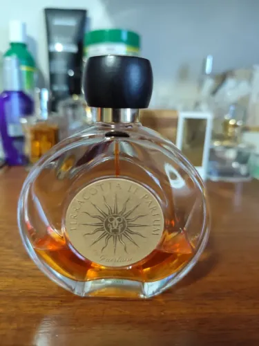 Perfume Terracota Guerlain 100ml