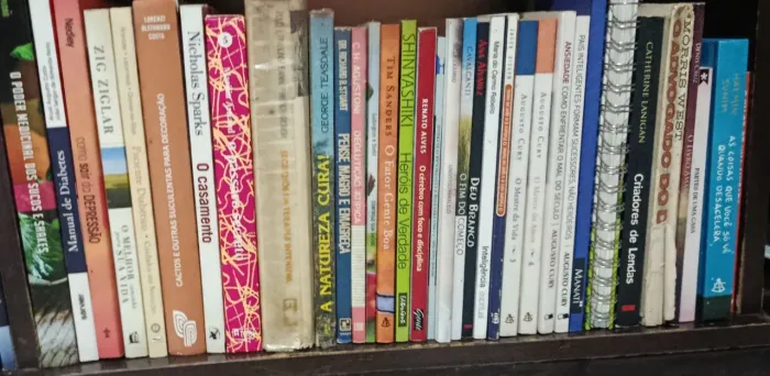 Lote 13 Livros Desenvolvimento Pessoal Psicologia Inteligência Emocional