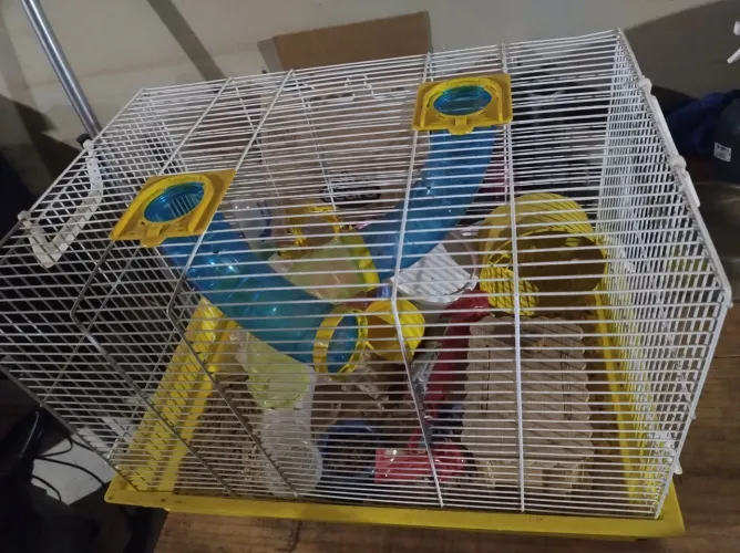 Gaiola hamster