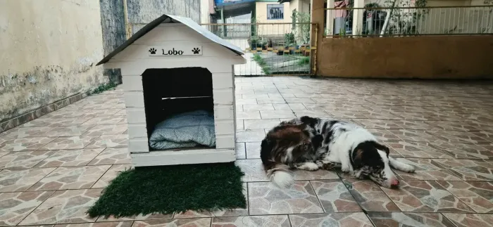 Casinha de Cachorro em Madeira - Artesanal