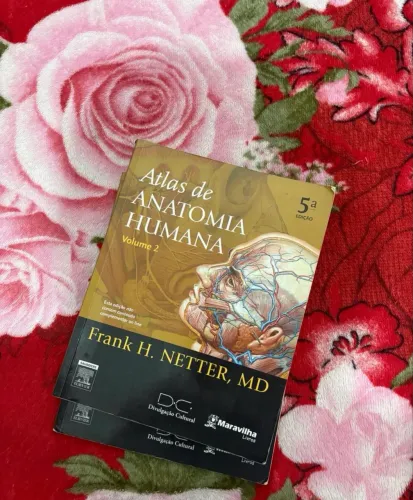 Netter anatomia