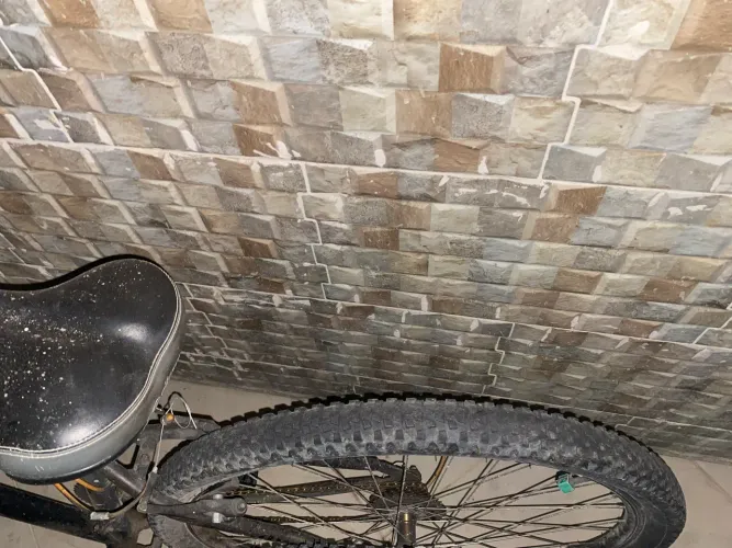 BIKE CALOI 29